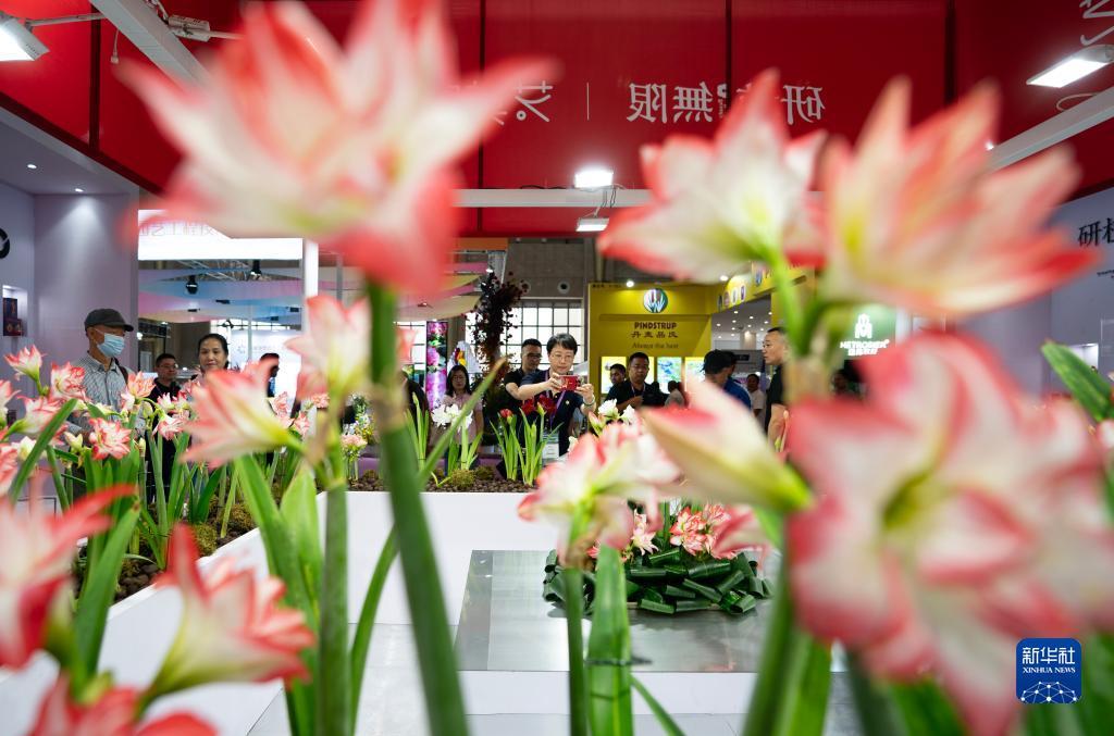 斗牛游戏大平台